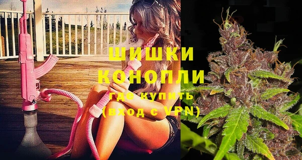 ешки Алексин